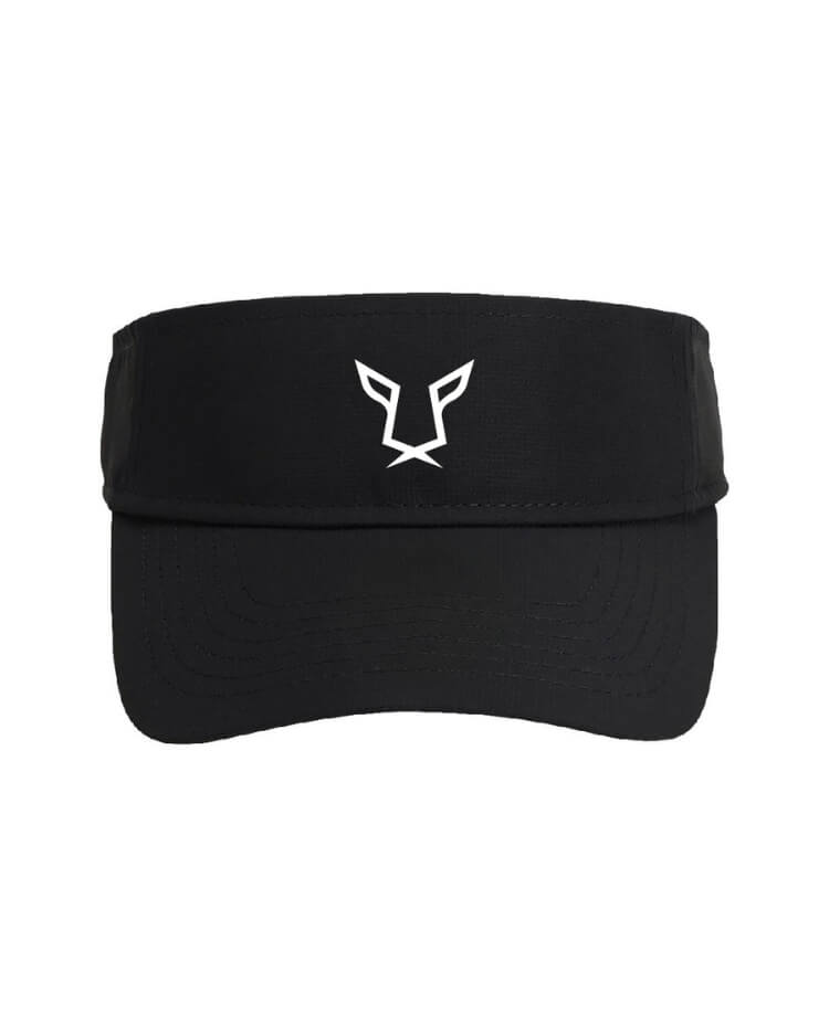 Evo Adapt Visor