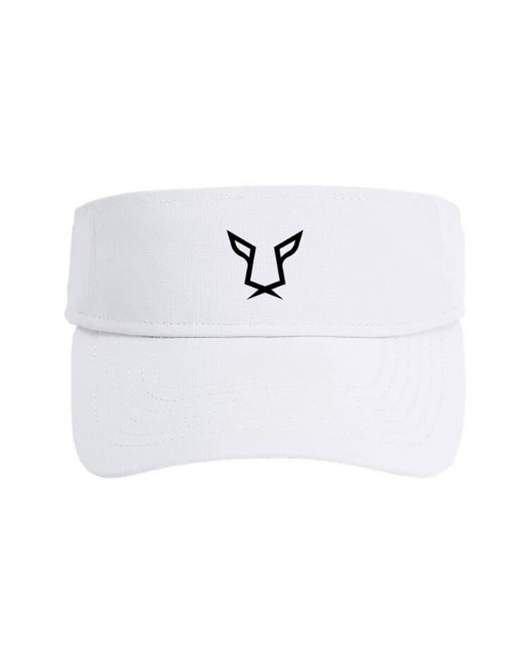 Evo Adapt Visor
